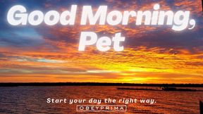 Good Morning, Pet