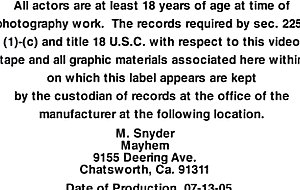 nikki  hunter -  mother  fuckers 2 -  scene 2