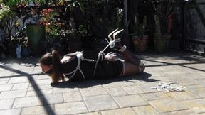 Cruelly hogtied in her LBD out in the garden (WMV HD 8000kbps)