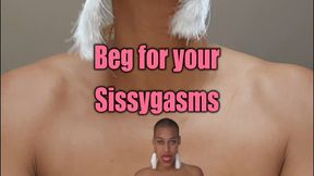 Beg for your sissygasm slut