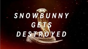 Snow Bunny Gets Destroyed