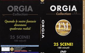 Orgy Collection
