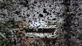 Arrogant Piano Girl Dominates Her Submissive Lesbian Lover Deeply