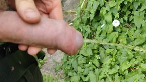 Getting a little hard while Pissing