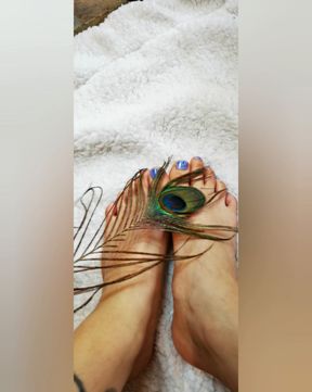 photo album of my goddess feet
album photos de mes pieds de déesse