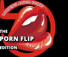 AUDIO ONLY - Porn flipper