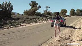 Hitchhiking whore gets a hard smutty handjob from her hazing driver