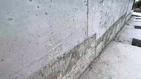 A girl with beautiful legs is intelligence, willpower, a certain toughness, hidden tenderness, and unconcealed sexuality