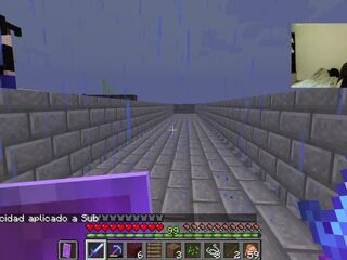 Minecraft gameplay largo