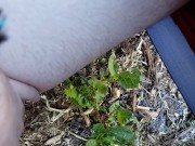 FTM Squatting Pee Outside On Plants