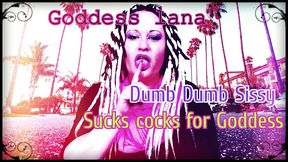 dumb dumb sissy sucks cocks for goddess lana