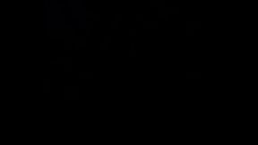 Jal&aacute_ndomela en el bus