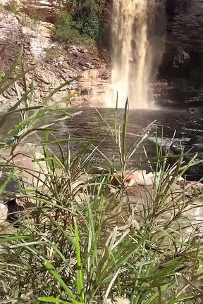 Wild Forest Fuck with Hot Babe