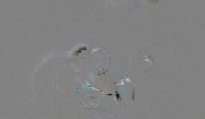 ns 972 sex gay plus 0 (1)