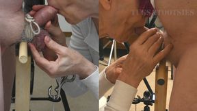 Locked into the Milking Post - Split-Screen Sequence 2