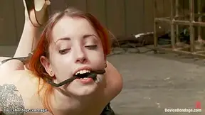 Bound Ginger Slave Mounted On Sybian