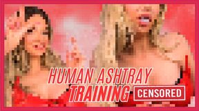 1080WMV Human Ashtray Training (Beta Safe Censored Loser Porn)