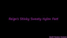 Reign's Stinky Sweaty Nylon Feet