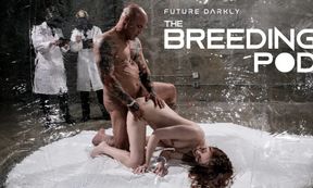 Future Darkly: The Breeding Pod