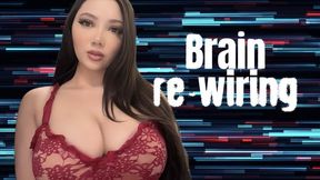 brain re-wiring