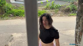 The Streetwalker, Picked up From the Street, Picked up Again at Home