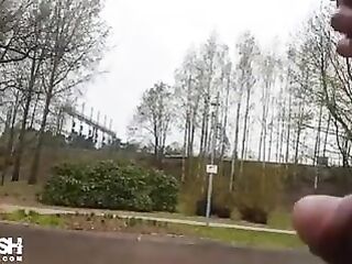 Dickflashing in a park