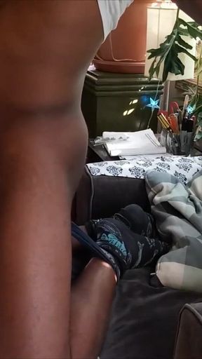 Bear Gets a Facial
