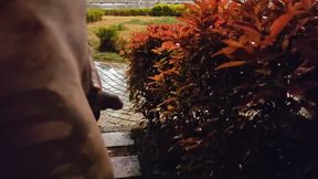 Walking naked on the busy roadside