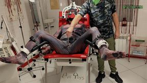 Playing Puppies The First Examination