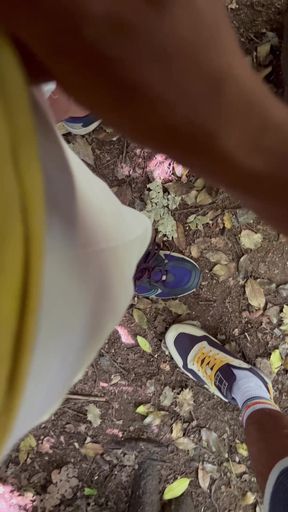 *** Looking for Dick in the Woods