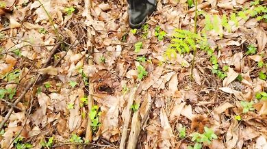 Je demande à un inconnu de m'enculer dans la forêt ! - Les Pounes