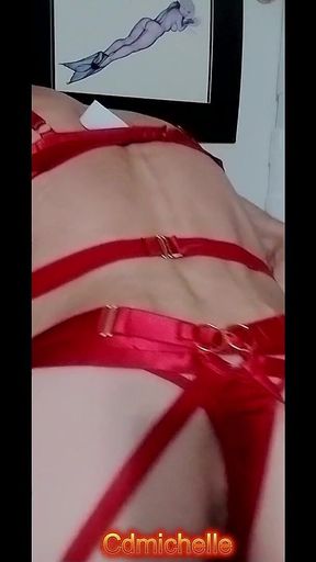 Cdmichelle Trying on Different Swimsuits