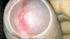 Uncut Cock Cumming Compilation
