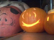 pumpkin season clip
