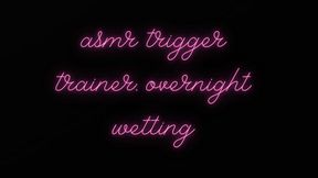 ASMR DIAPER TRIGGER TRAINER: WET OVERNIGHT