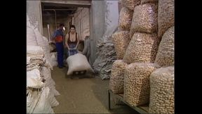 Hot Nymphos Drenched in Cock and Cum