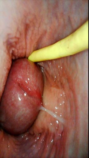 Servant Girl Do Everything I Say - Endoscope in Pussy and Creampie