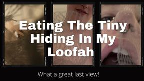 Phoenix Eats The Tiny Hiding In Her Loofah- 4K HD