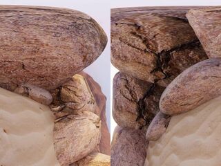 Asha VR Doggy Delight