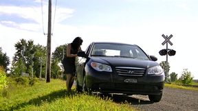 Cleo licks feet in the car (mp4)
