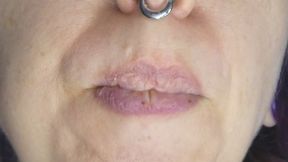 Chewing a Chicken Leg Tasty Meat From the Bone