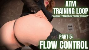 ATM Training Loop - PART 5: Flow Control