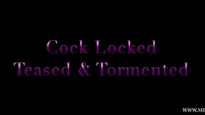 Cock Locked Teased and Tormented