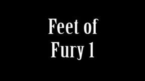 Feet of Fury 1