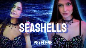 Seashells: Goon Mindfuck for Financial Surrender