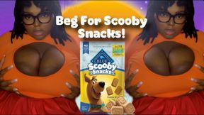 Beg For A Scooby Snack