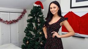 ”Canadian Christmas Sex in America”