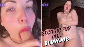 Begging for Cum Blowjob