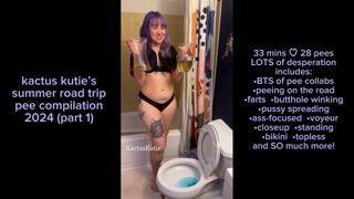 summer road trip pee compilation (part 1)