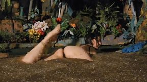 Rainforest of Dreams!